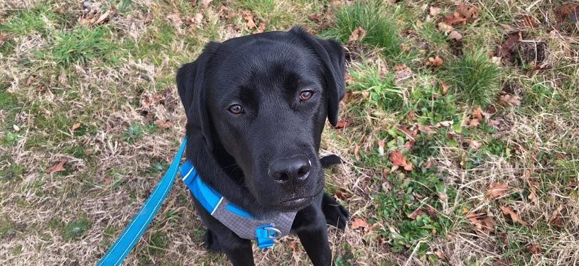 20250216_143733 - Angéline LECOMTE